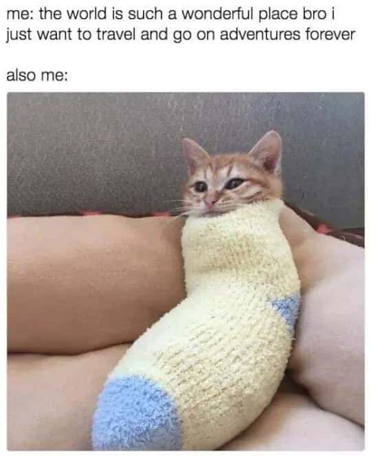 Orange cat meme tucked in fuzzy sock too lazy to go on adventures