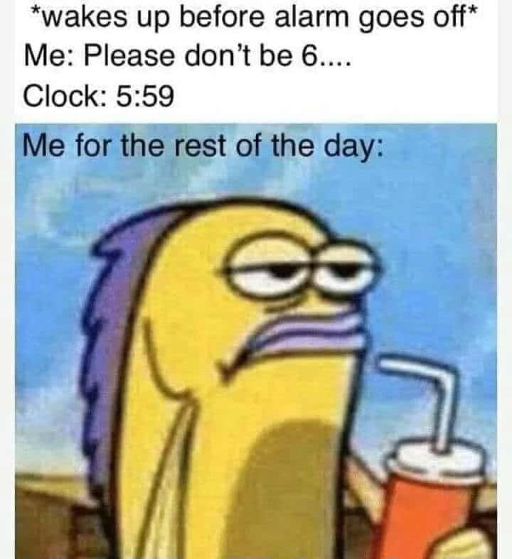 Spongebob tired fish meme feels completely drained all day after waking up one minute before alarm