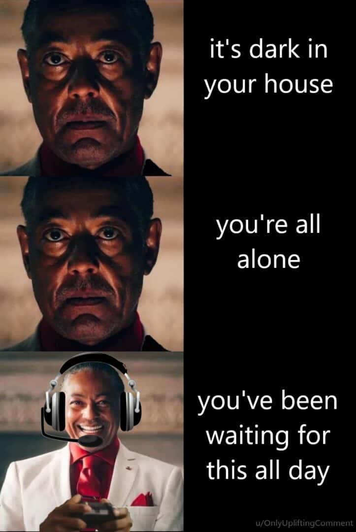 Gus fring gaming meme about finally having alone time to play
