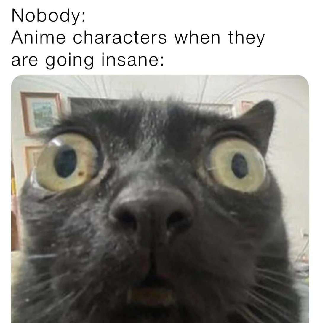 Bug-eyed unhinged black cat meme doing the classic anime character insanity face