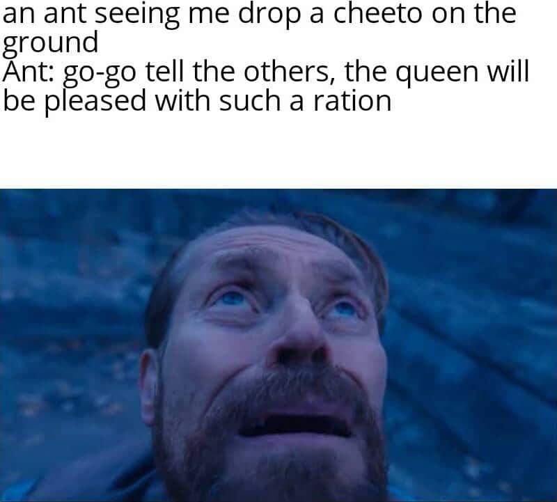 Overjoyed ant meme that just found a massive dropped Cheeto ration for the colony