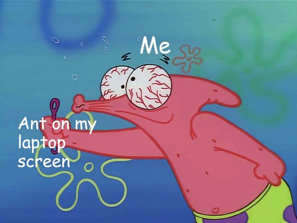 Squinting bloodshot-eyed Patrick Star fixated on tiny ant on laptop screen meme