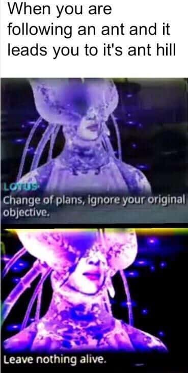 Obsessive ant hill discovery meme that makes you ditch all plans to raid the colony