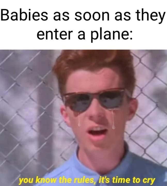 Babies meme start crying immediately as soon as they enter a plane
