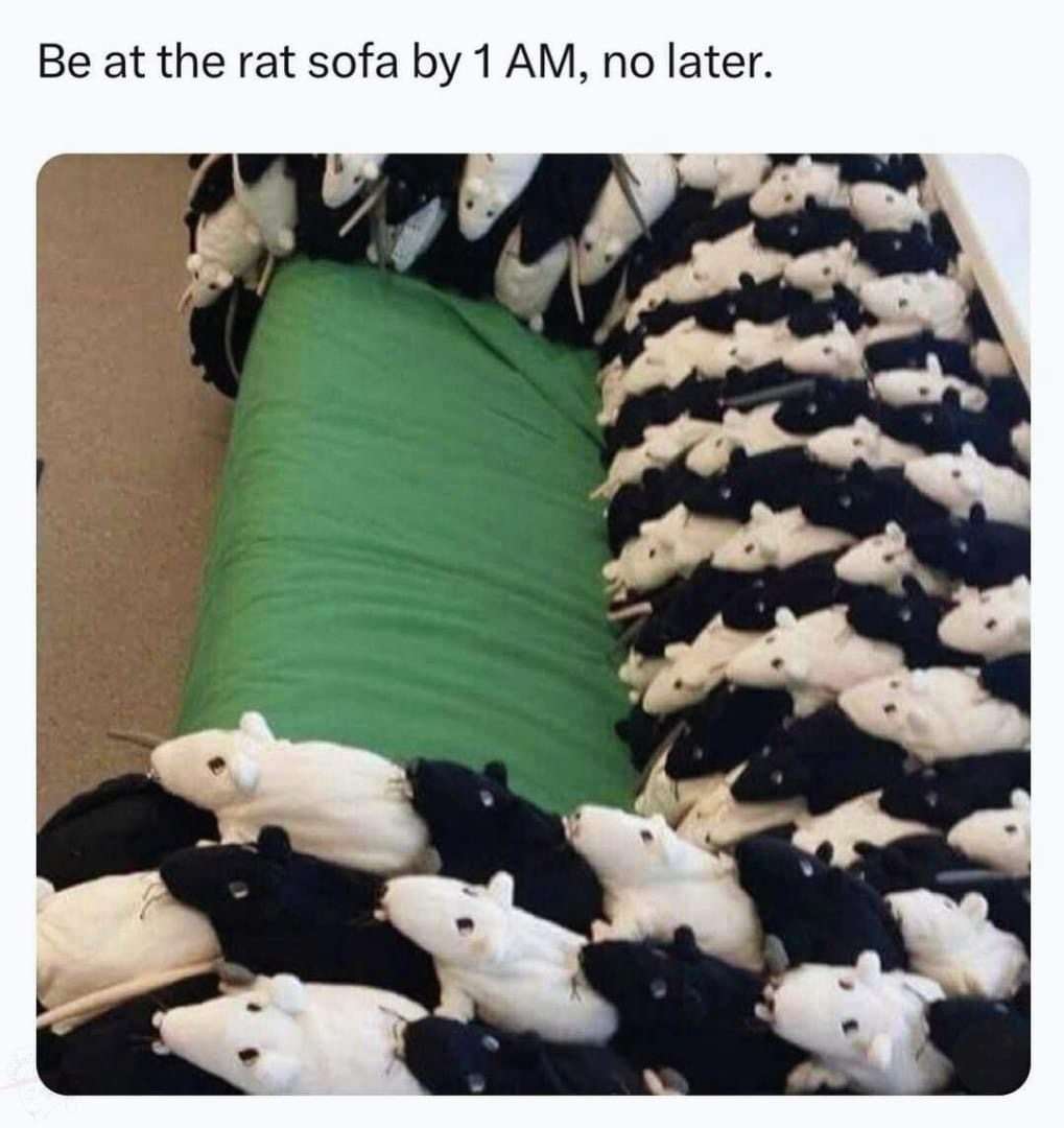 Rat sofa meme meet by 1 am no later