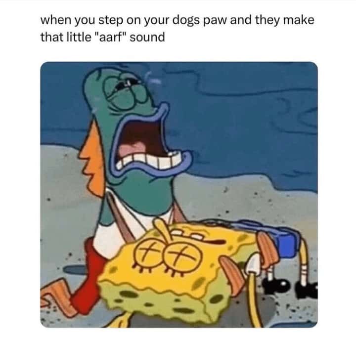 Wailing devastated Spongebob background fish meme reeling after stepping on his dog's paw