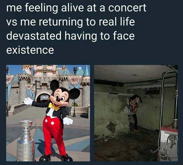Devastated Mickey Mouse meme showing brutal post-concert existential slump