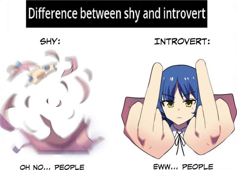 Anime meme showing shy vs introvert