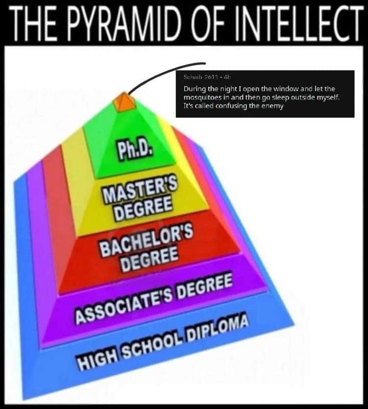 Pyramid of intellect meme letting mosquitoes in then sleeping outside to confuse the enemy