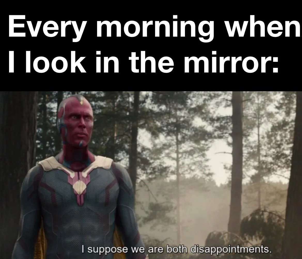 Vision meme looking at mirror every morning saying both are disappointments