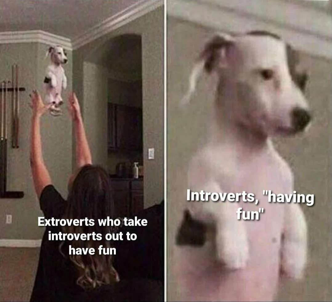Standing dog meme taken out by extroverts while introverts pretend having fun