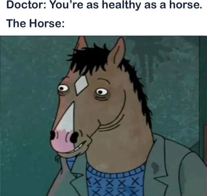 Horse meme Bojack horseman looks dead tired right after doctor calls him healthy