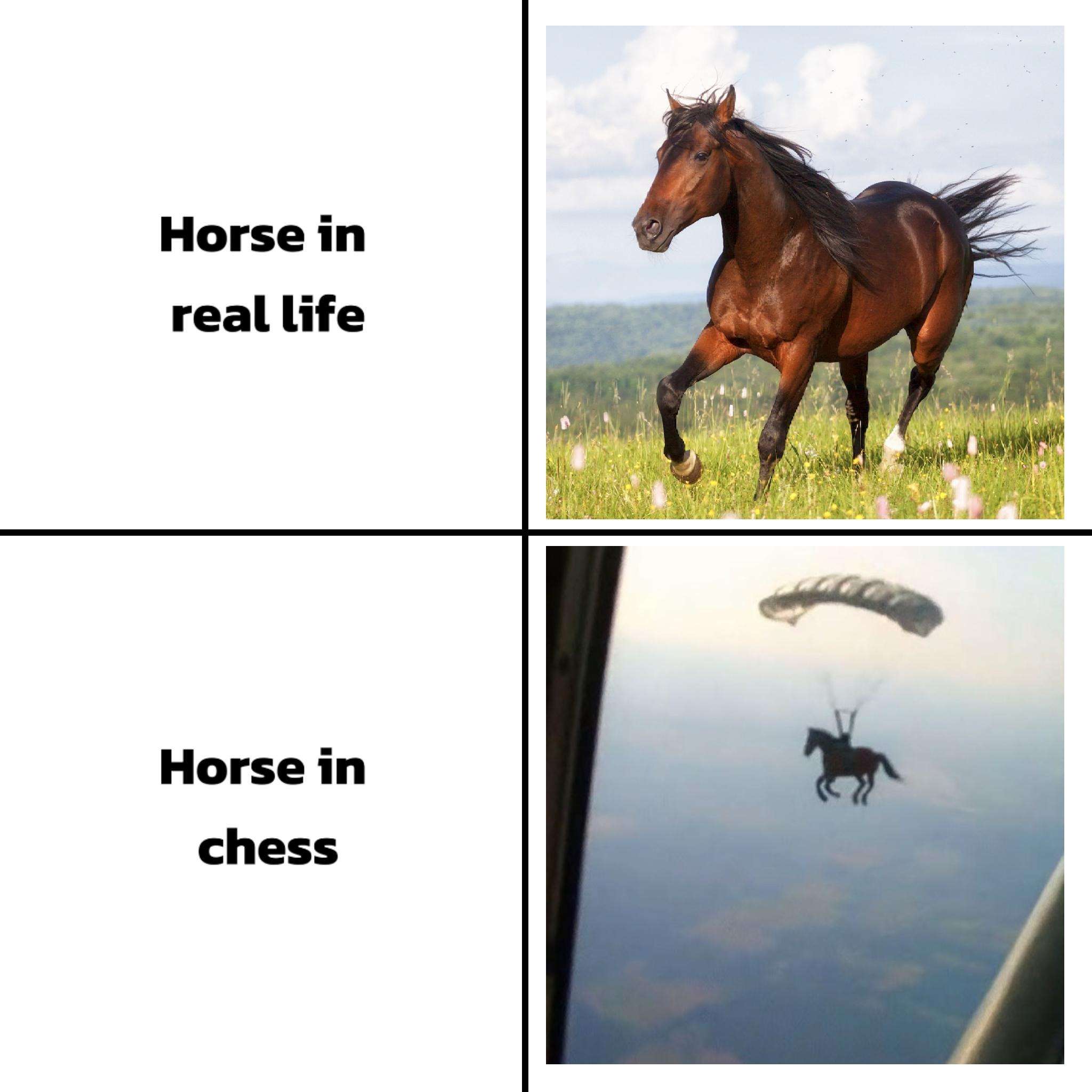 Horse meme shows normal field horse and absurd skydiving chess horse