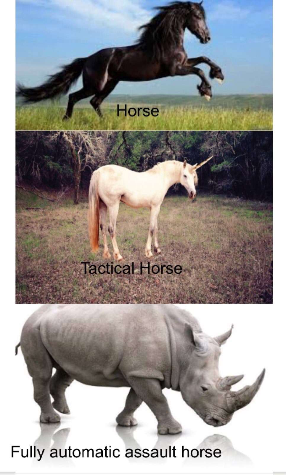 Horse meme evolving from normal to tactical then fully automatic assault horse