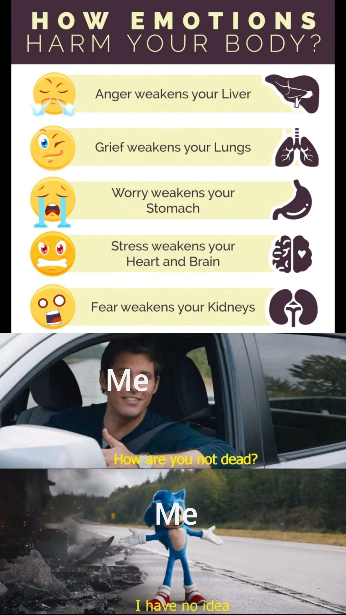 Sonic meme survives all organ harm