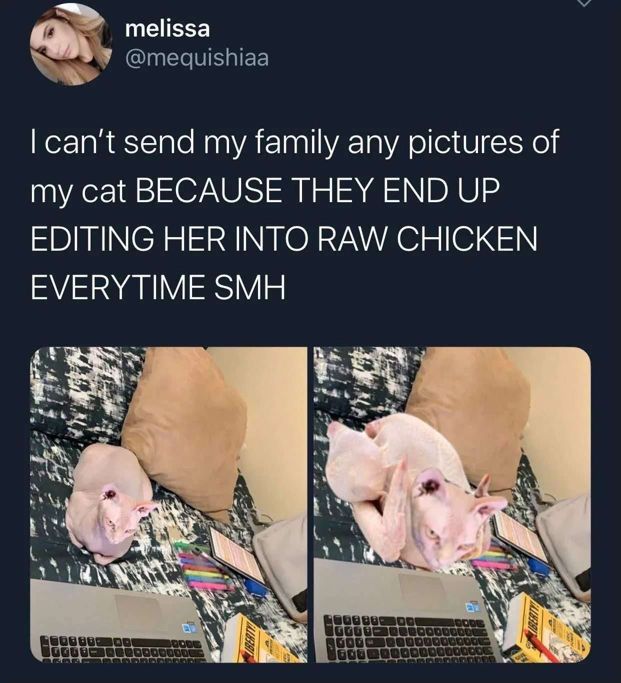 Sphynx cat meme photoshopped by family to look exactly like raw whole chicken