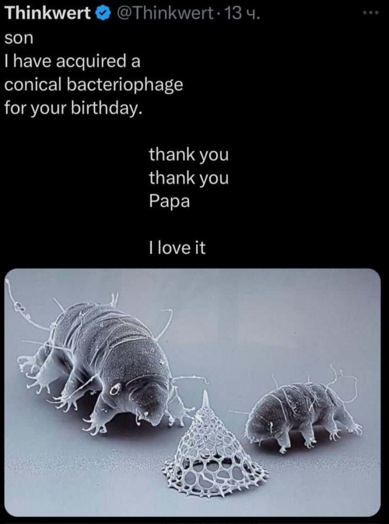 Tardigrade meme giving conical bacteriophage as birthday gift to son