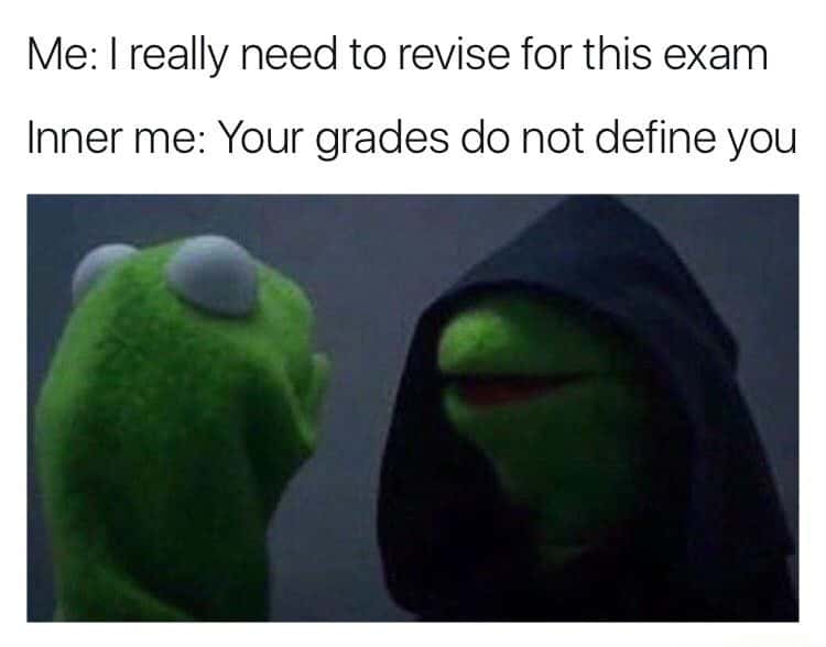 Evil Kermit meme telling you not to revise for exam saying grades do not define you