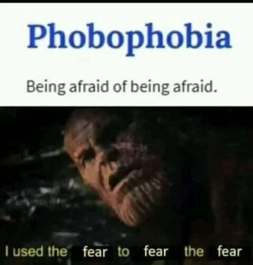 Phobophobia meme using fear to fear the fear