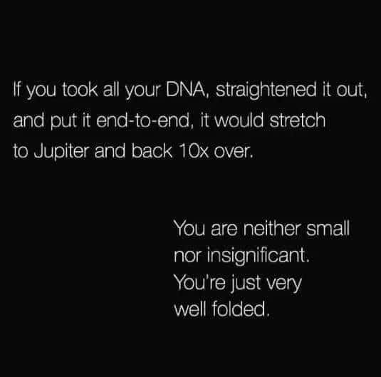 Human dna meme stating you are not small just very well folded