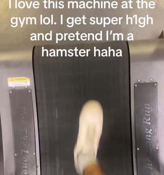 Hamster meme running on gym treadmill while high