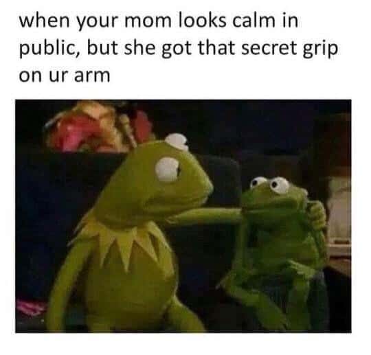 Kermit hand on shoulder meme mom's secret grip