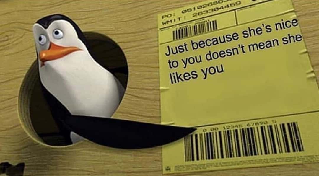 Kowalski pointing meme about unrequited love reality check