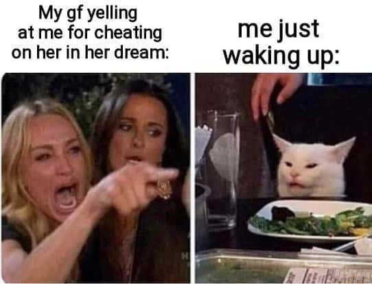Lady pointing at cat meme girlfriend mad over dream cheating