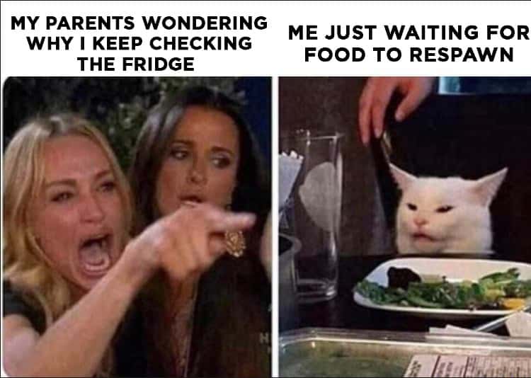 Lady pointing at cat meme parents confused over fridge food respawn
