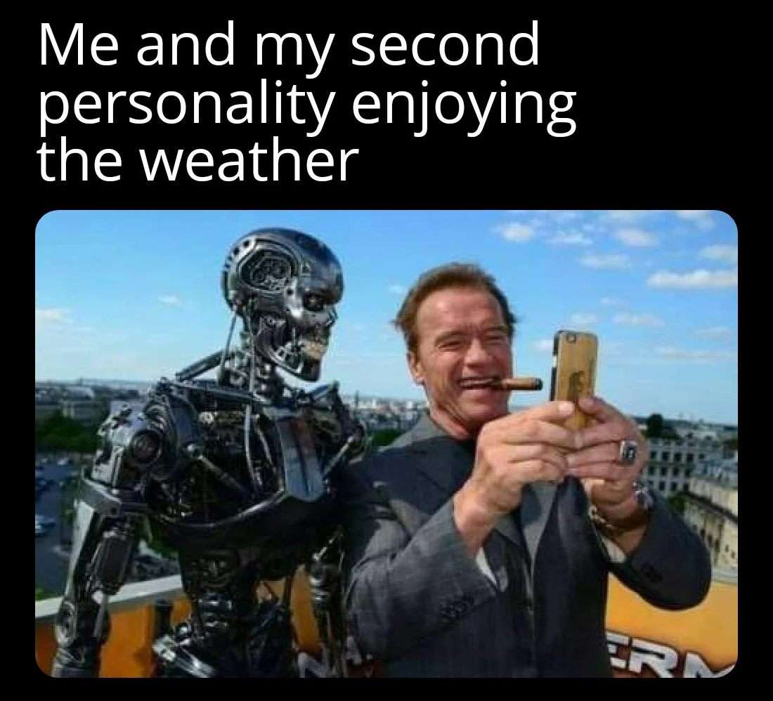 Terminator meme enjoying weather with second personality