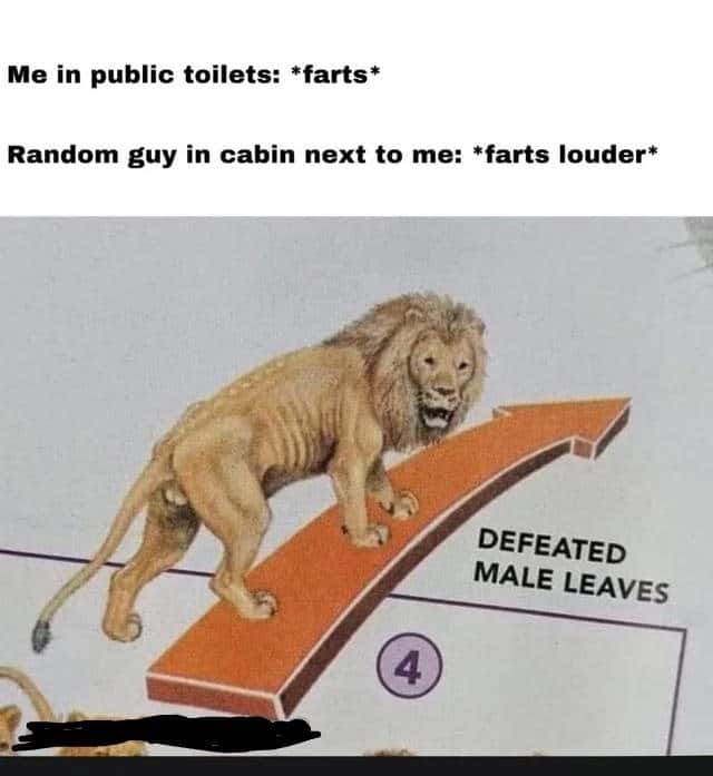 Defeated male lion meme leaves after random guy farts louder in public toilet