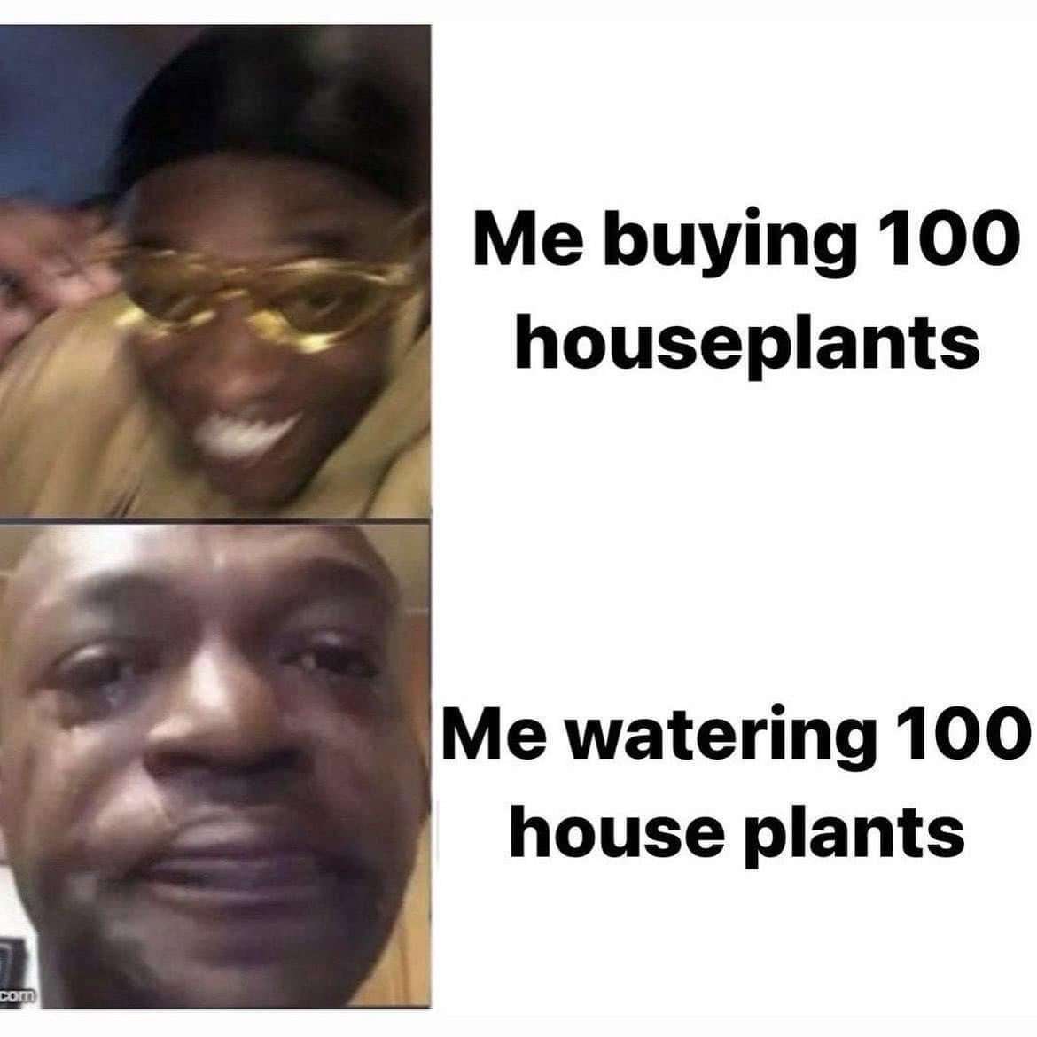 Crying man meme regretting buying 100 houseplants