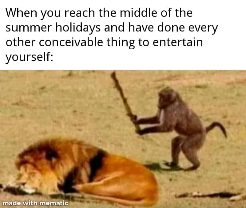 Monkey and lion meme bored halfway through summer break