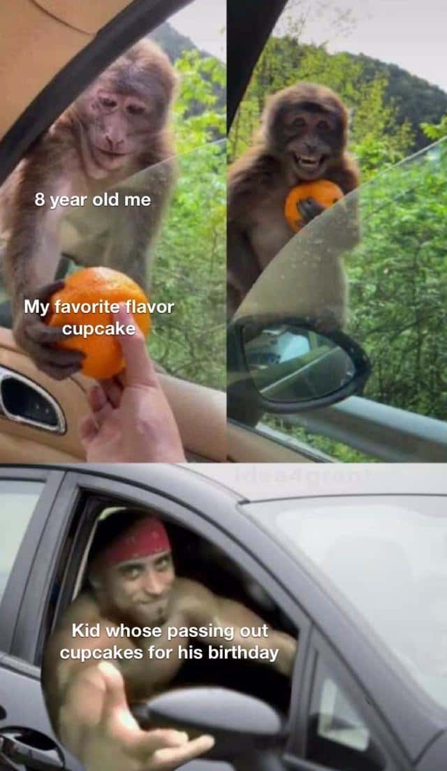 Monkey getting an orange meme excited for free birthday treats
