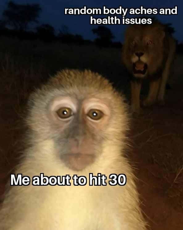 Monkey is cooked meme facing health pains turning thirty