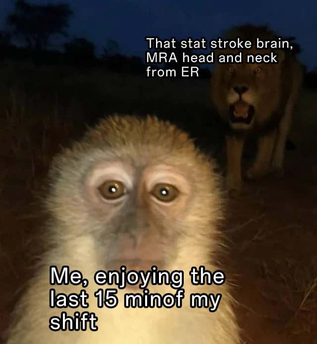Monkey is cooked meme hit with emergency case near shift end