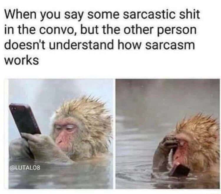 Monkey mobile phone meme frustrated when others miss sarcasm