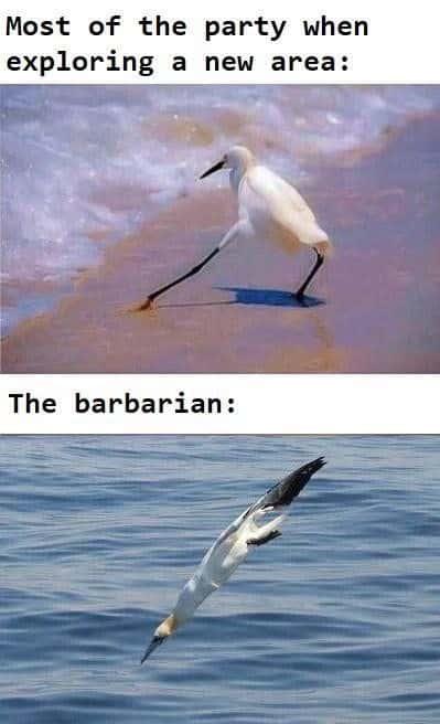Dnd barbarian meme diving headfirst into water while party explores new area