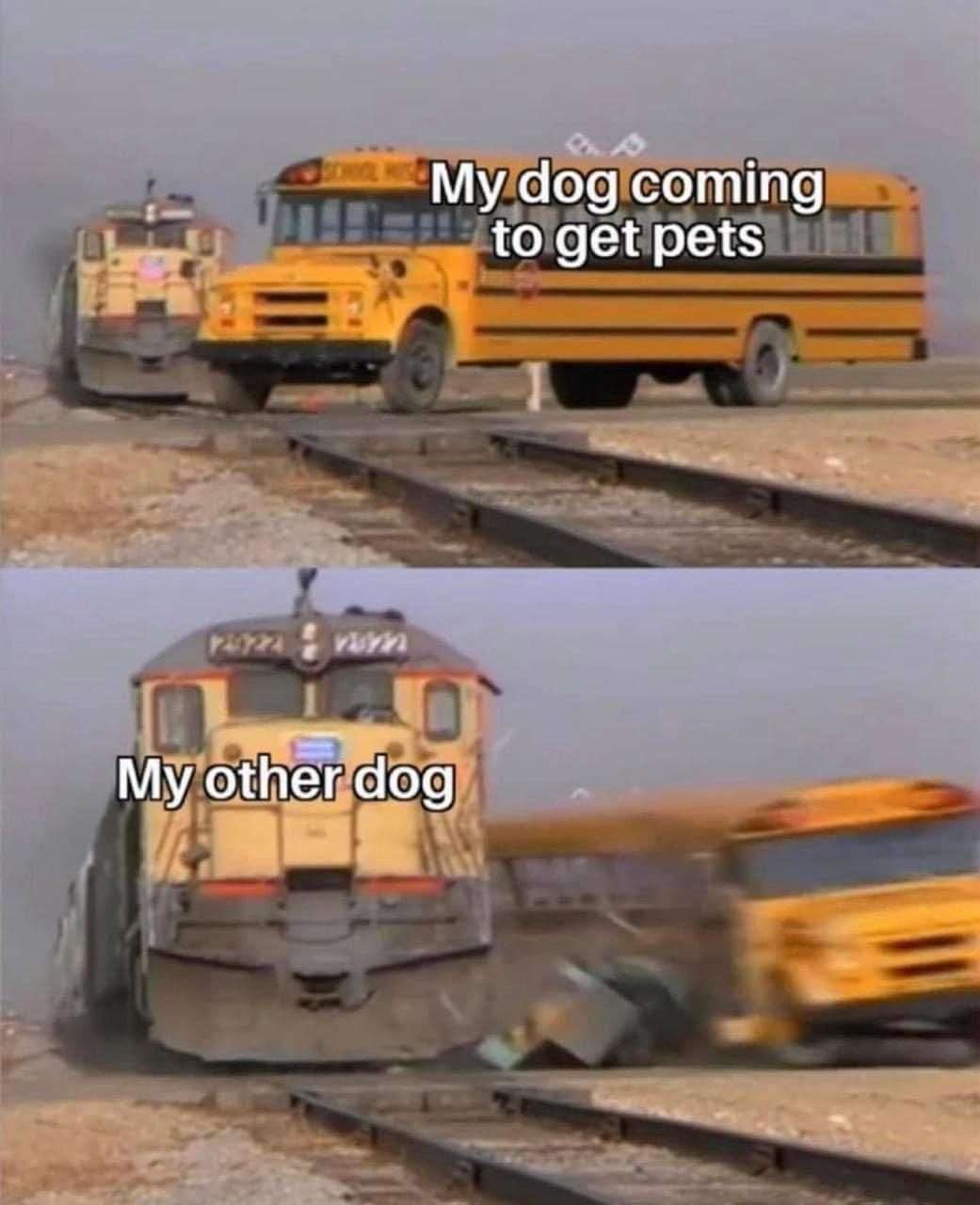 Two dogs meme one gets pets while other crashes school bus