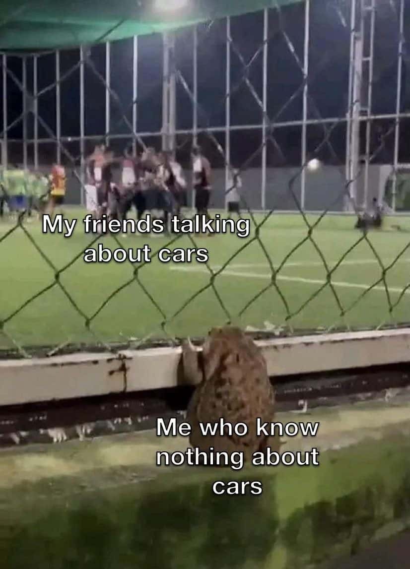 Toad meme watching friends talk about cars