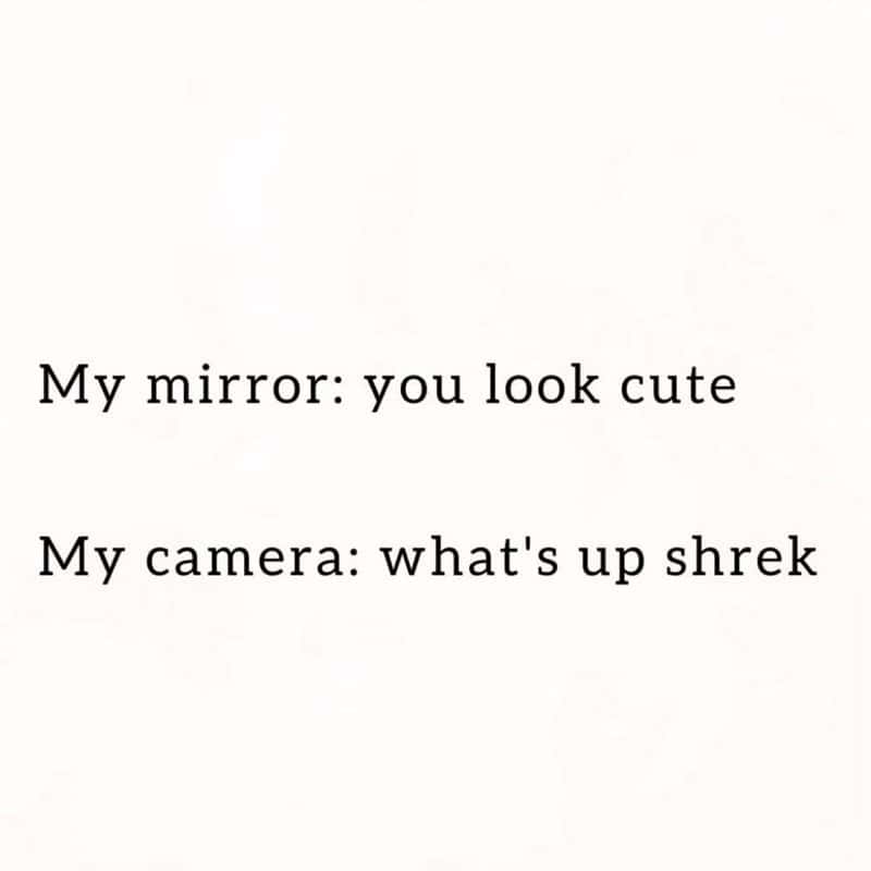 Mirror camera meme calls you Shrek when mirror says you look cute