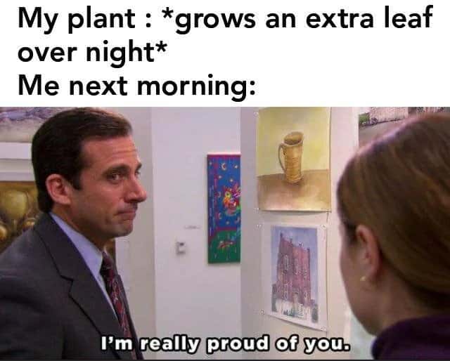 Michael scott meme saying i'm really proud of plant that grew extra leaf overnight