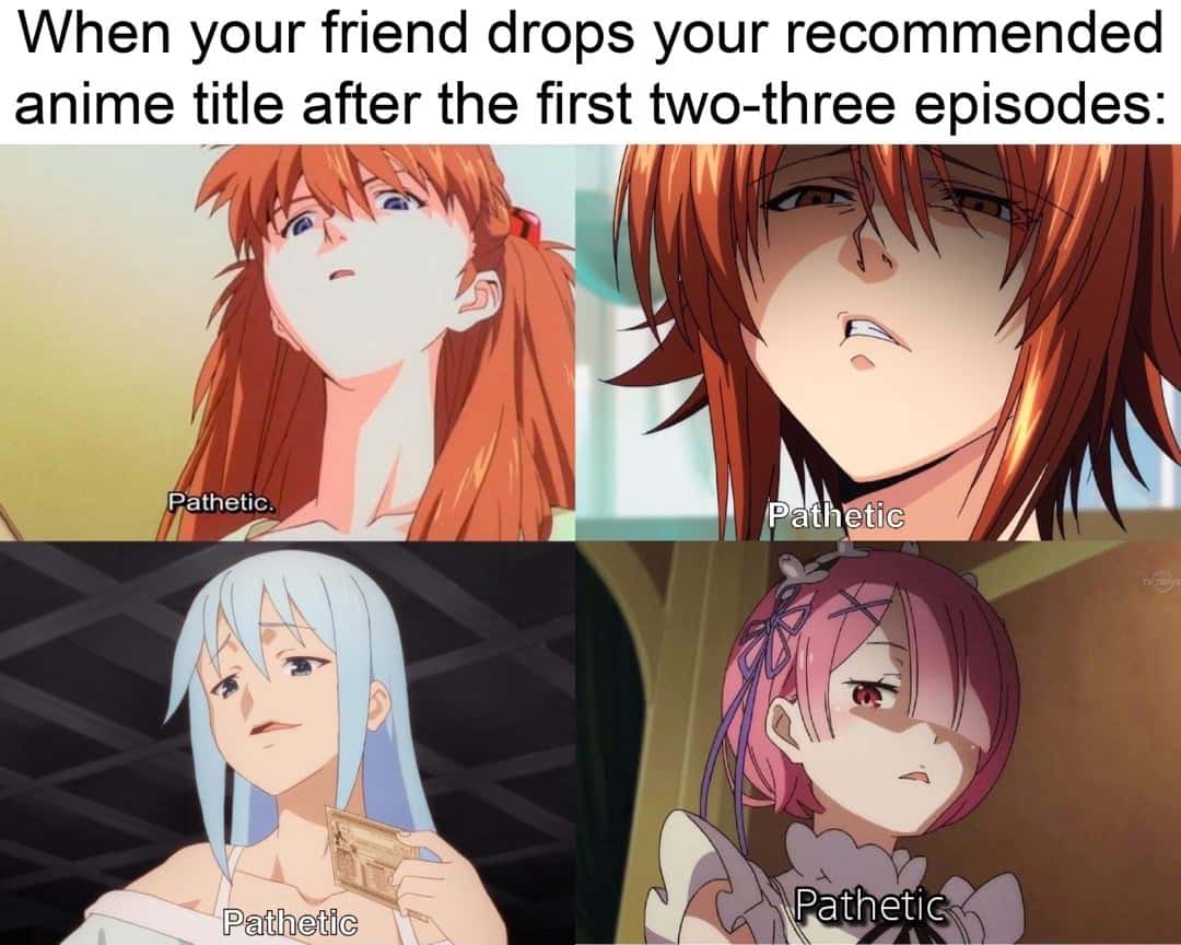 Four anime girls pathetic meme judging friends that drop your recommended anime early