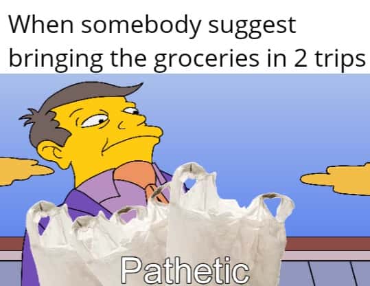 Principal Skinner pathetic meme hauling all groceries in one trip judging two trips