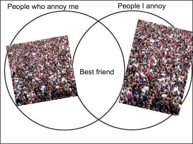 Venn diagram meme best friend is mutual annoyance