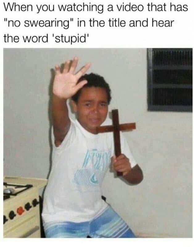 Scared kid meme video labeled no swearing says stupid
