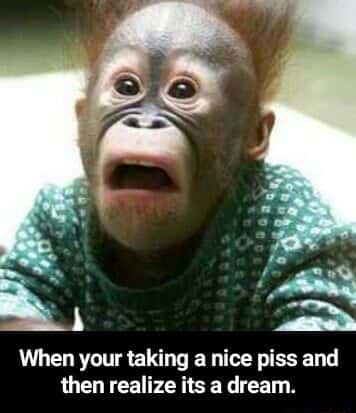 Scared monkey meme realizing pee dream mid sleep