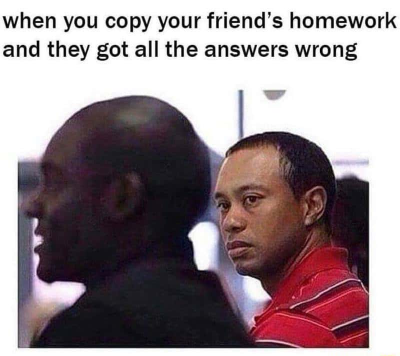 Tiger woods meme copied homework all answers wrong