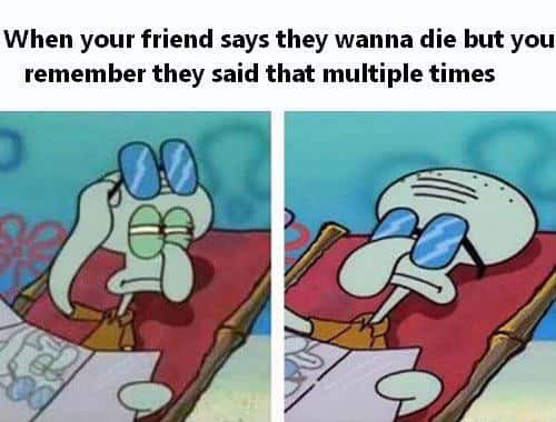 Squidwart suspicious meme friend repeatedly talks about wanting to die
