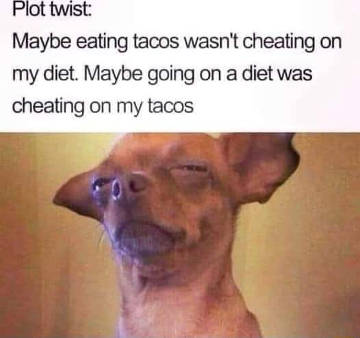 Squinting dog meme reversing diet and taco loyalty logic